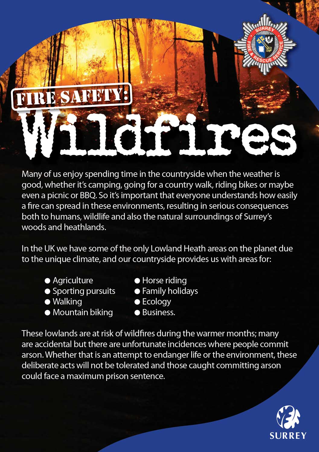 Wildfire awareness poster