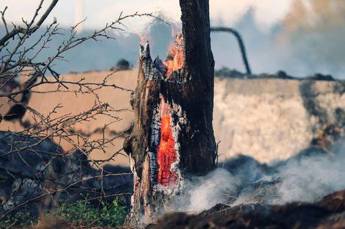 a fire on heathland common