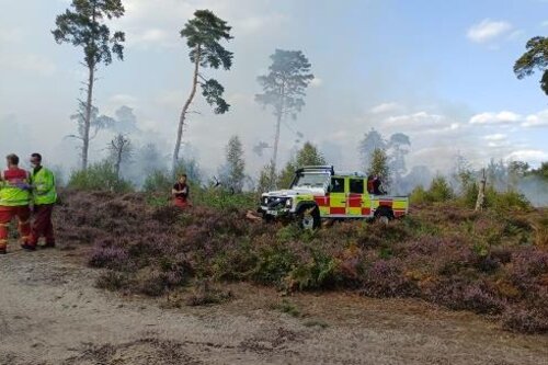Fire crew and vehicle on heathland at Blackheath Common